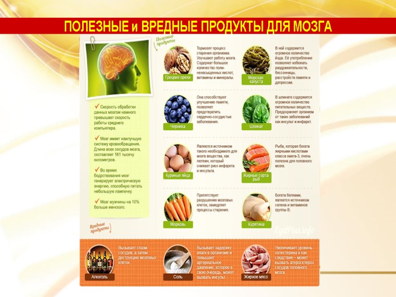 ПОЛЕЗНЫЕ и ВРЕДНЫЕ ПРОДУКТЫ ДЛЯ МОЗГА
